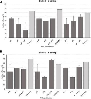 Strategies for Efficient Gene Editing in Protoplasts of Solanum tuberosum Theme: Determining gRNA Efficiency Design by Utilizing Protoplast (Research)